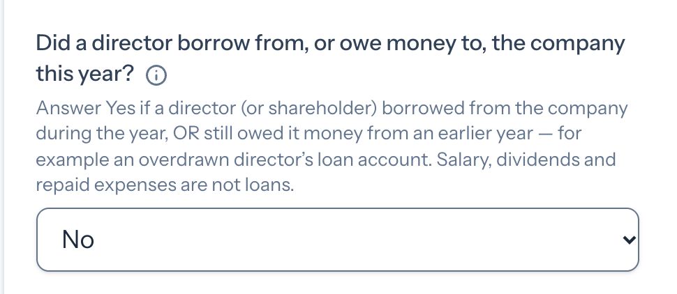 Taxley's directors' loans question, Did a director borrow from, or owe money to, the company this year?, with its help text shown and the answer No selected for a demo company